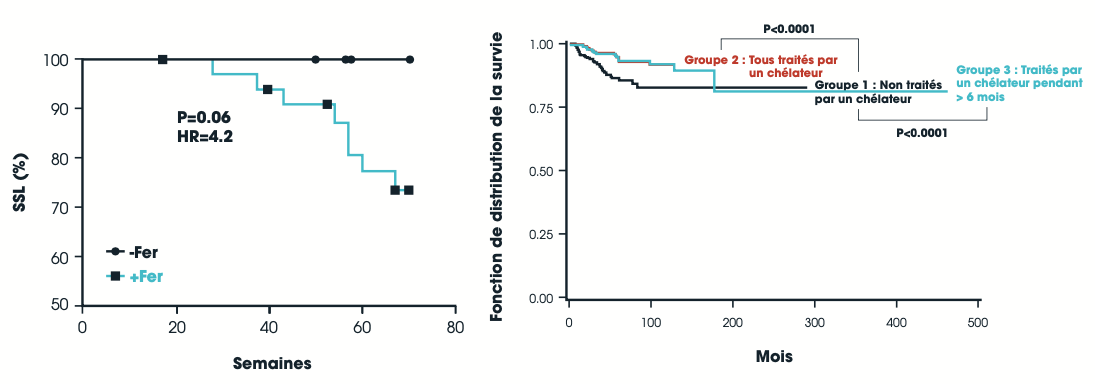 Graphique : Surcharge en fer et leucémie myéloïde aiguë