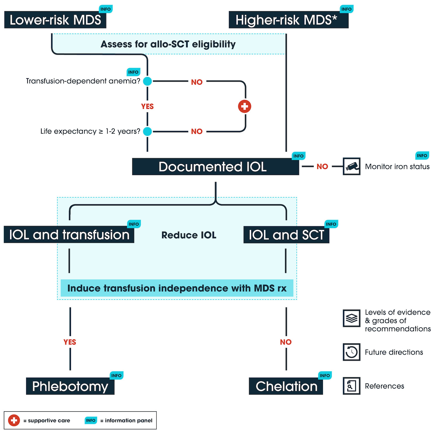 Algorithm - Canadian guidelines for the management of iron overload in MDS